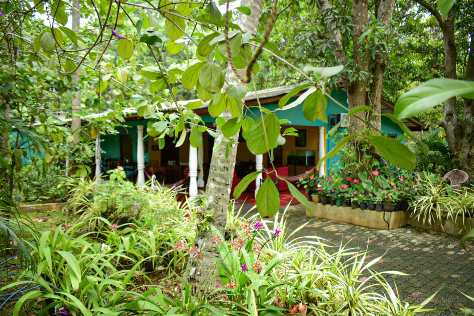 Hotels in Sigiriya & Dambulla